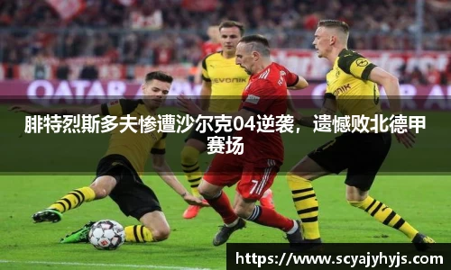 金年会下载