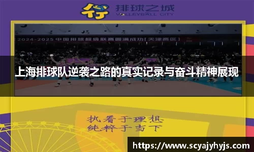 上海排球队逆袭之路的真实记录与奋斗精神展现