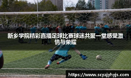 新乡学院精彩直播足球比赛球迷共聚一堂感受激情与荣耀