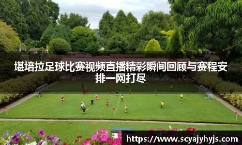金年会APP