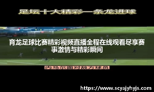 金年会平台
