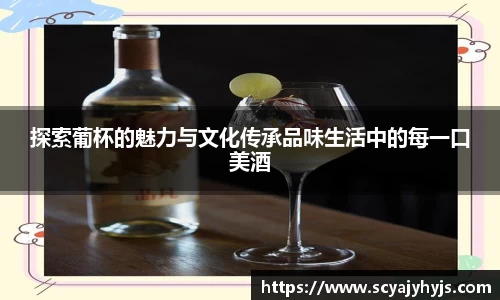 探索葡杯的魅力与文化传承品味生活中的每一口美酒