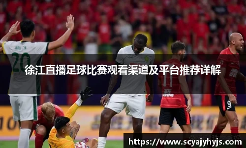徐江直播足球比赛观看渠道及平台推荐详解